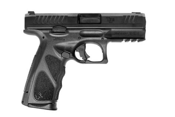 Are there any Taurus guns for sale online?