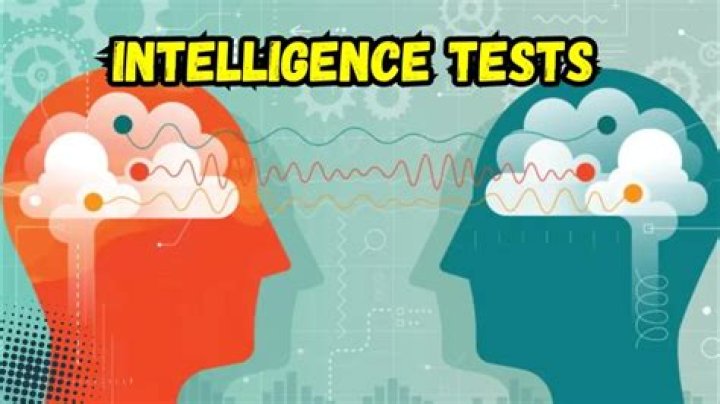 Can intelligence testing be culture free?