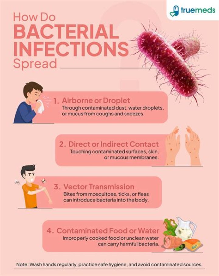 Can plant bacteria infect humans?