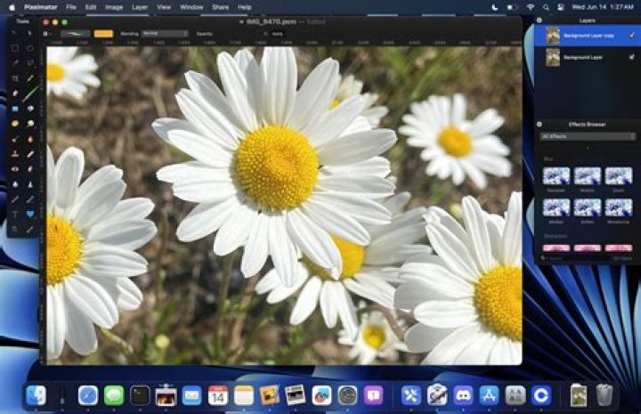 Can you download Pixelmator on Windows?