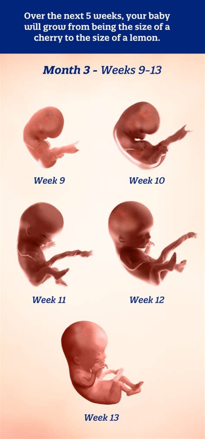 Can you see a baby at 3 4 weeks?