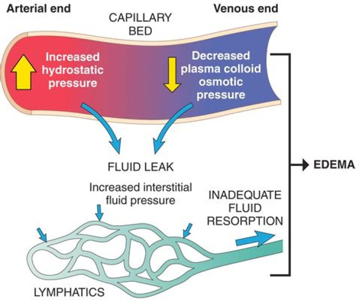 Do capillaries have high osmotic pressure?