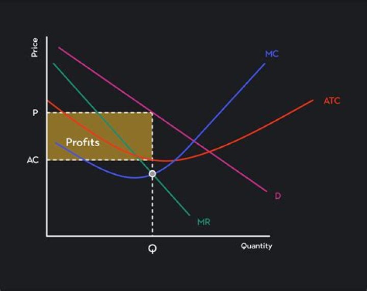 Do firms always want to Maximise profits?