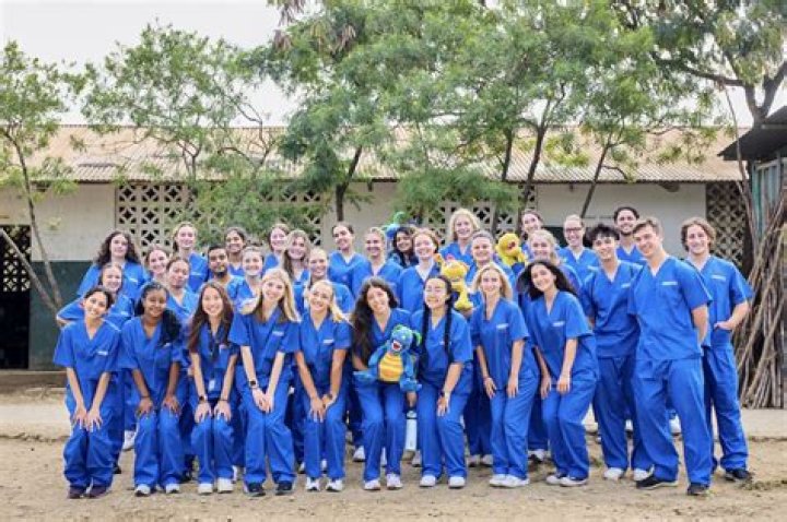 Does Michigan have a pre-med program?