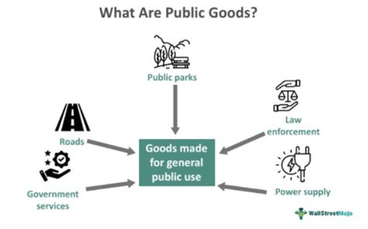 How are public goods paid for?