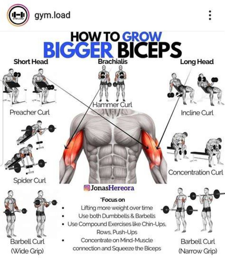 How can I get thicker biceps and triceps?