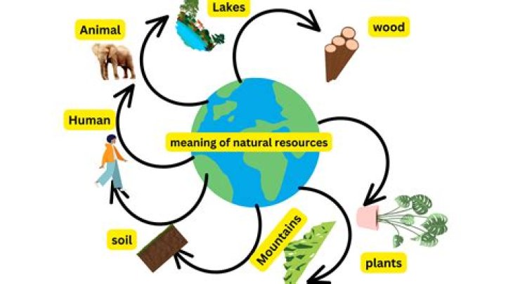How can natural resources contribute to economic development?