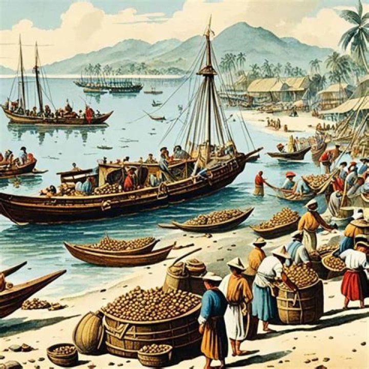 How did the northern colonial economy develop?
