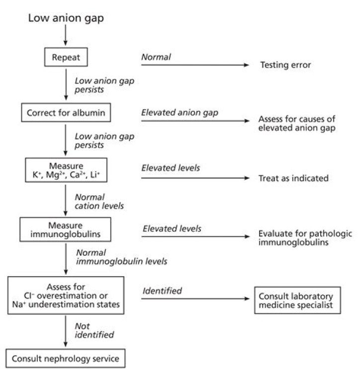 How do you test for anion?