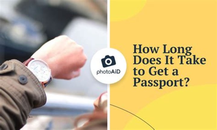 How long does it take to get a Swiss work visa?