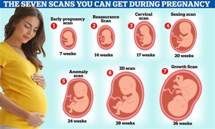 How many months is 10 weeks 5 days pregnant?