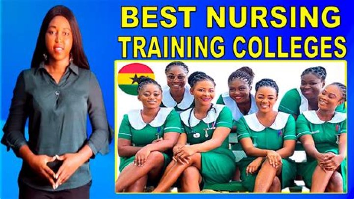 How many nursing schools are there in the Philippines?