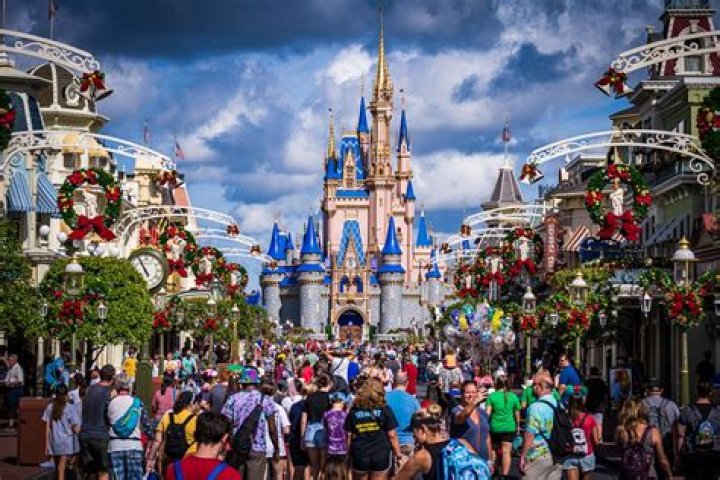 How many visitors does Disney get a day?