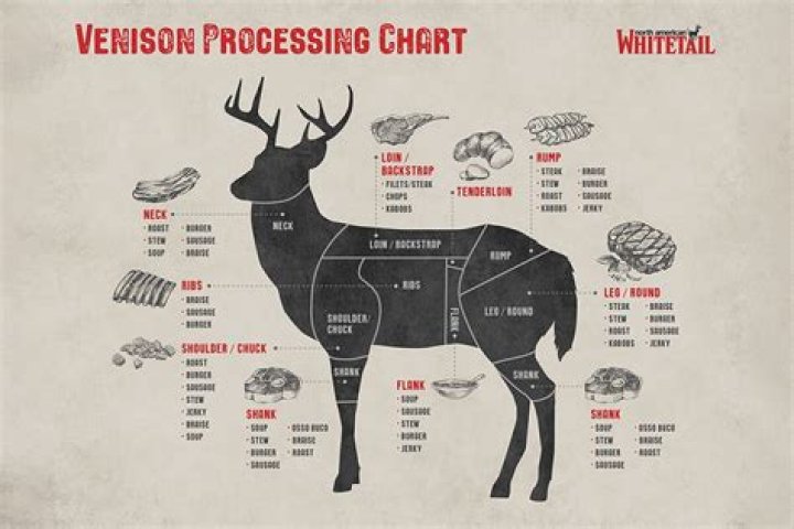 How much meat do you get from a 180 lb deer?