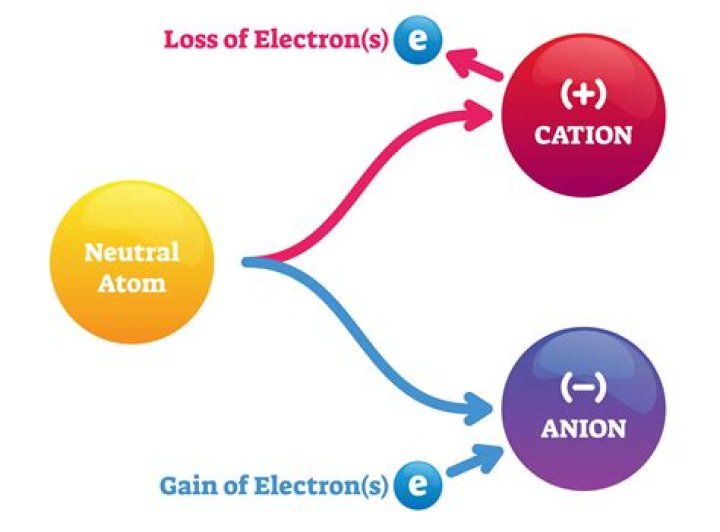 Is a cation an atom that has lost electrons?