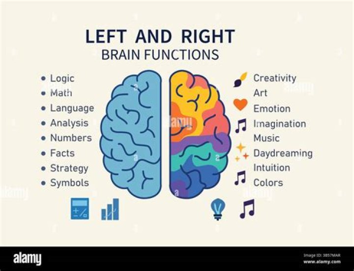 Is drawing left or right brain?