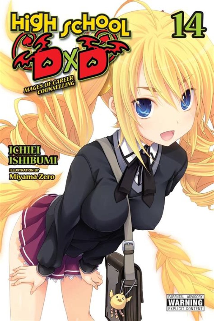 Is highschool DxD light novel still going?
