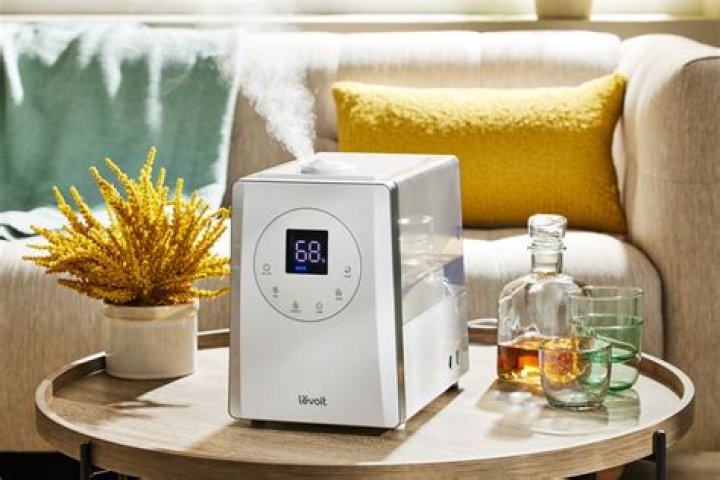 Is it better to use a cool mist or warm mist humidifier?