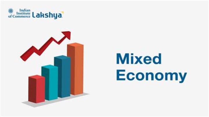 Is Latin America a mixed economy?