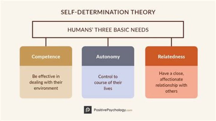 Is self-determination theory still relevant?