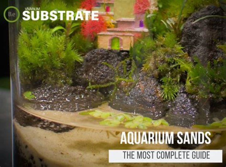 Is silica sand OK in aquariums?