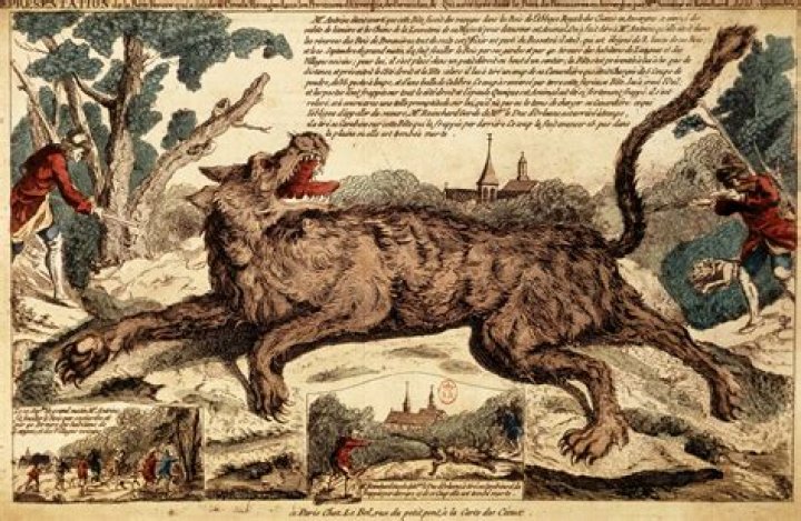 Is the beast of Gevaudan real?