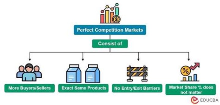 Is the stock market an example of a perfectly competitive market?