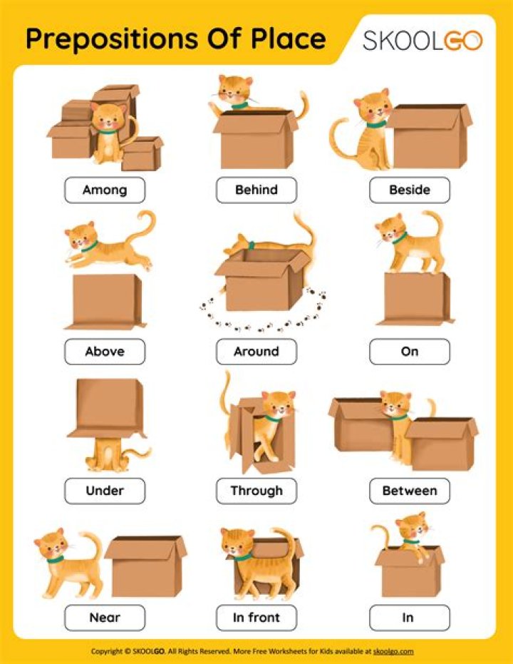What are prepositions Quizizz?