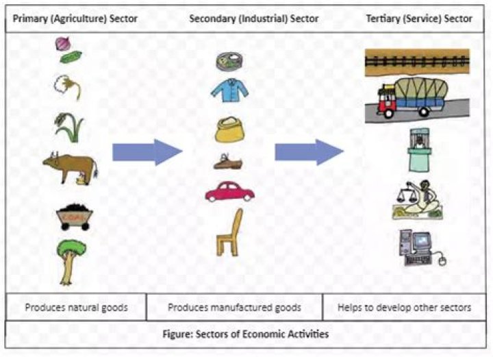 What are primary secondary and tertiary economic activities?