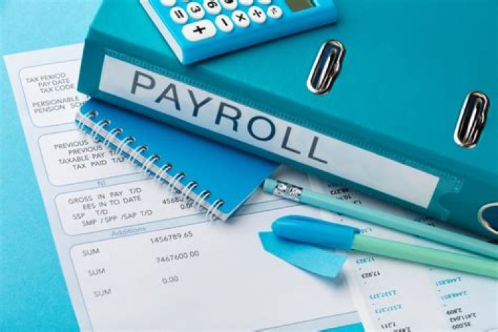 What are some common payroll systems?