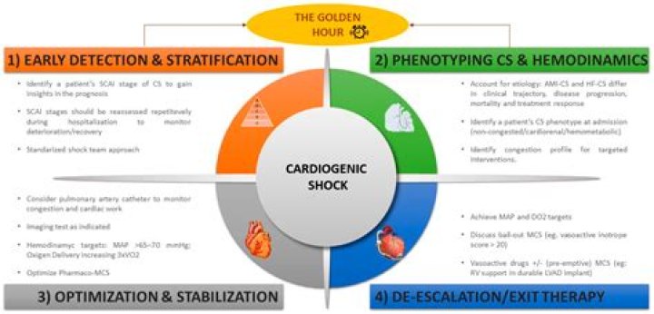 What are the initial interventions needed for a patient in cardiogenic shock?