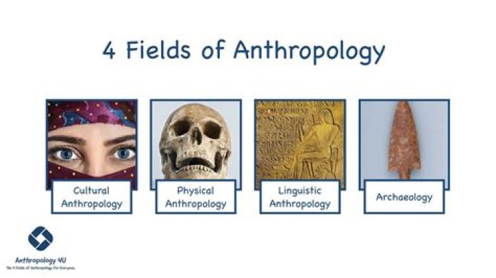 What are the modes of exchange in anthropology?