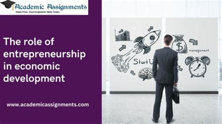 What are the roles of an entrepreneur in a developing economy?