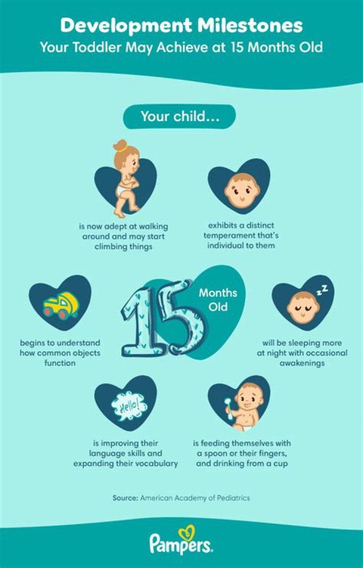 What can a 15 month old do intellectually?