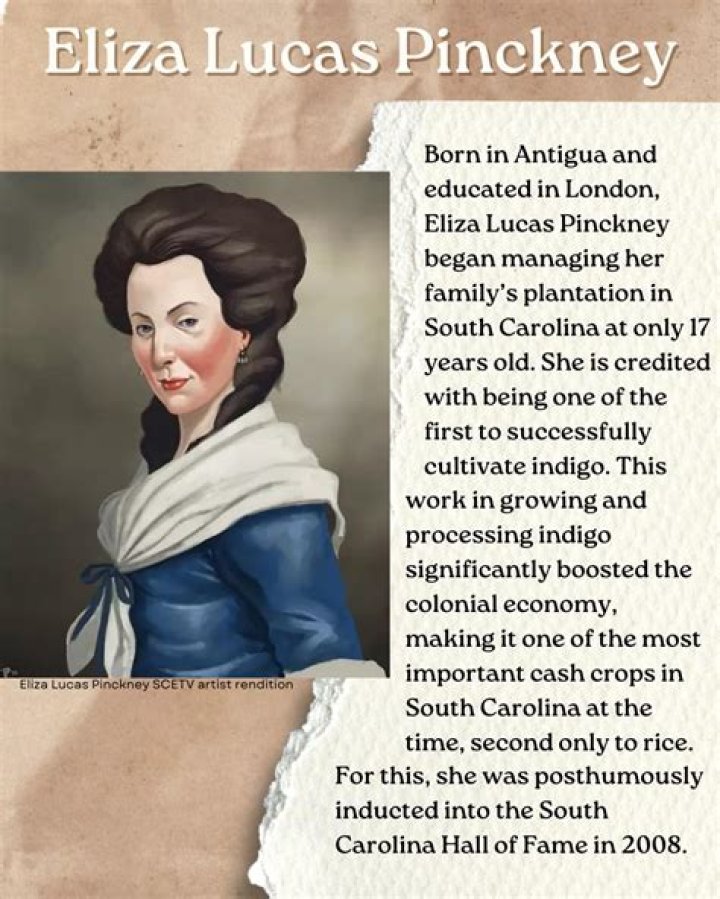 What did Eliza Lucas Pinckney believe made her successful?