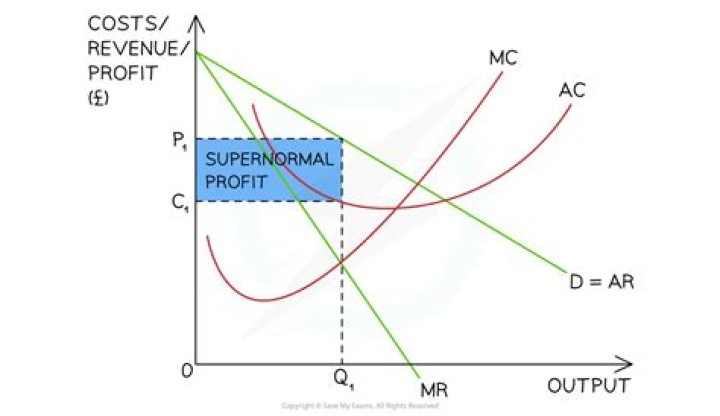 What does profit mean in economics?