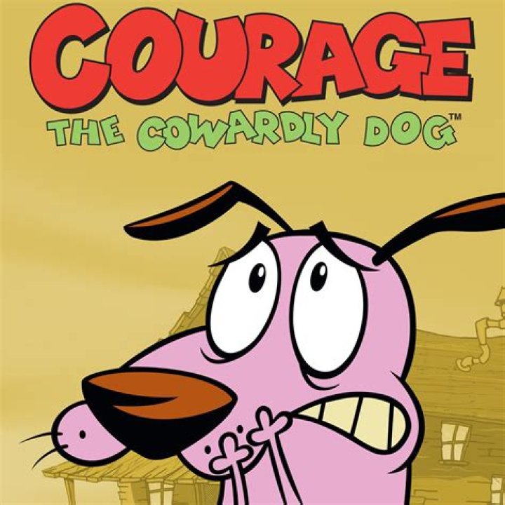 What does the Cowardly Lion say about courage?