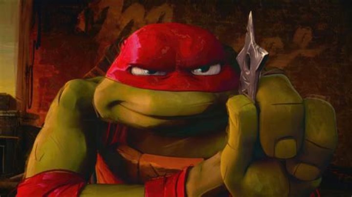 What fighting style does the Ninja Turtles use?