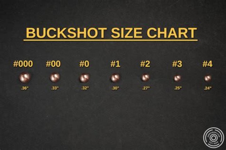 What is #1 buckshot used for?