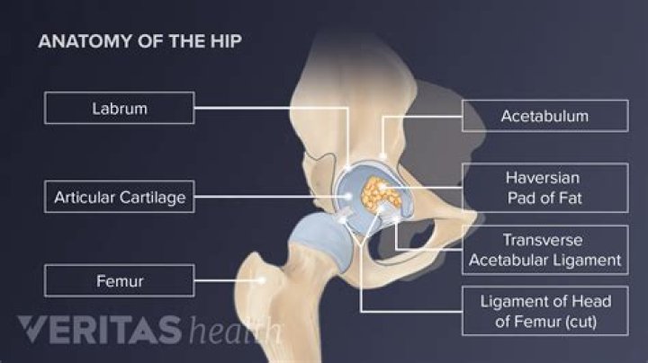 What is a hip hugger?