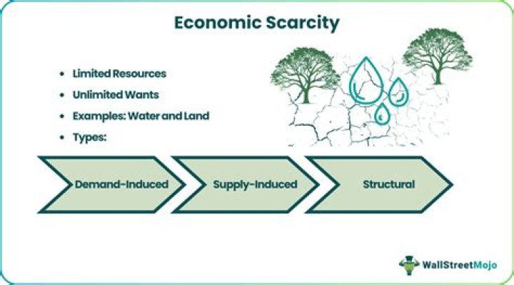 What is a major effect of scarcity in economic behavior?