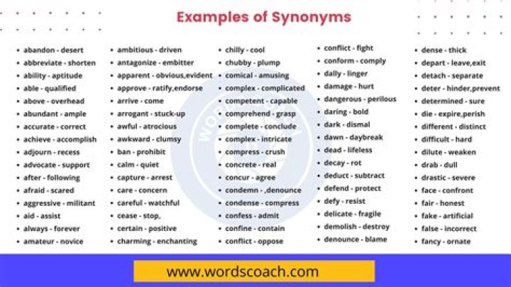 What is a synonym of theme?