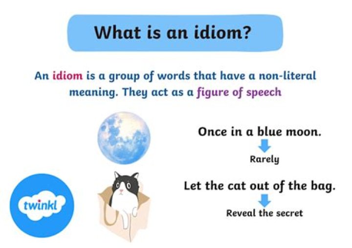 What is an idiom give one example?