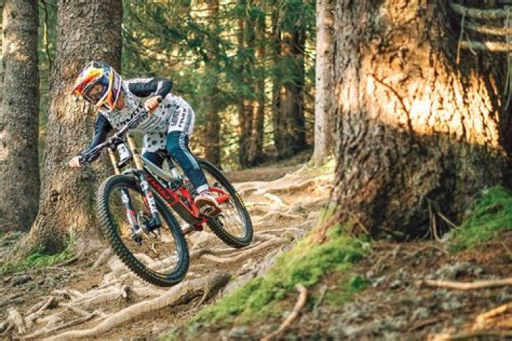 What is freeride downhill?