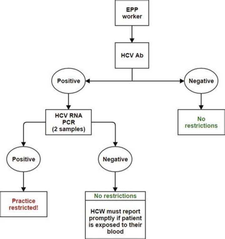 What is HCV status?