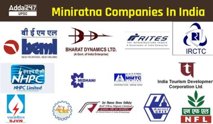 What is Mini Ratna company?