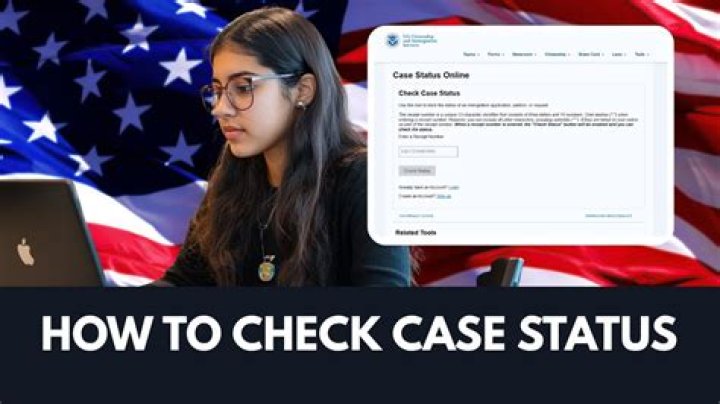 What is Post decision activity in USCIS case status?