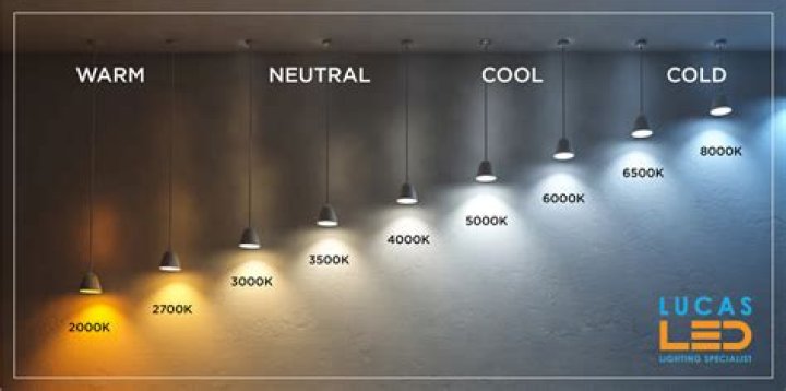 What is the best light color for under cabinet lighting?