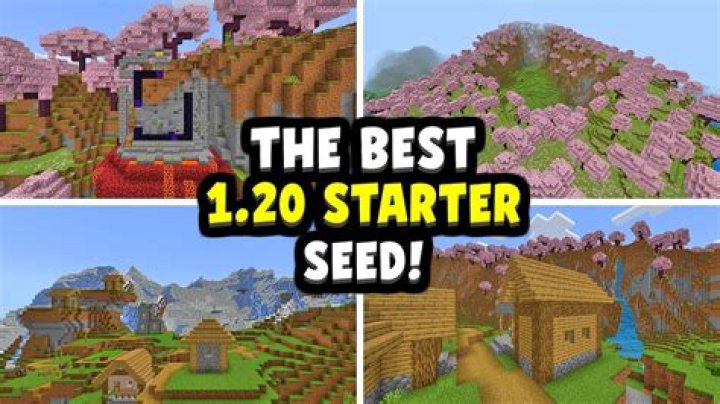 What is the best starter seed in Minecraft?