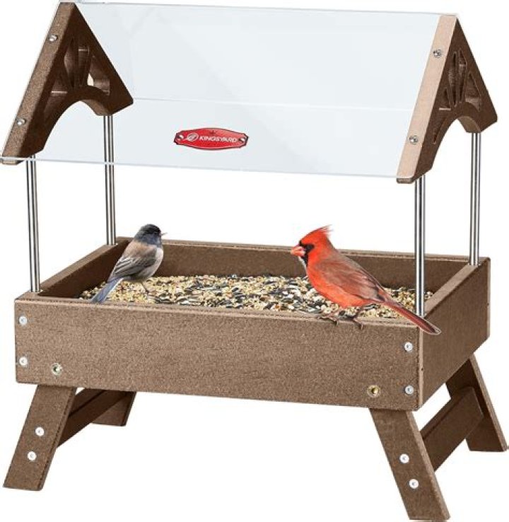 What is the biggest bird feeder?